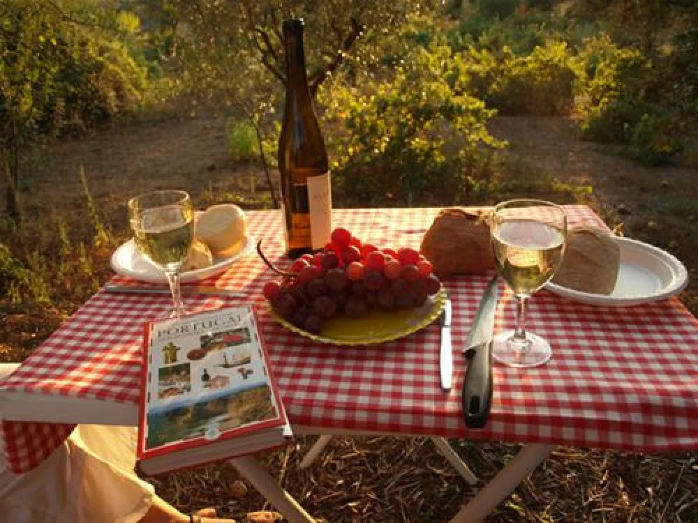 Parque de Campismo Redondo