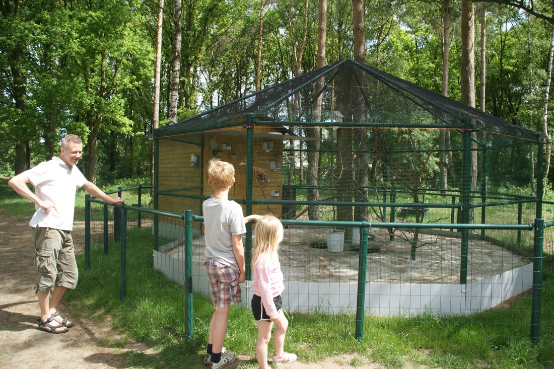 Campsite De Schuur in Belgium - Photo 2