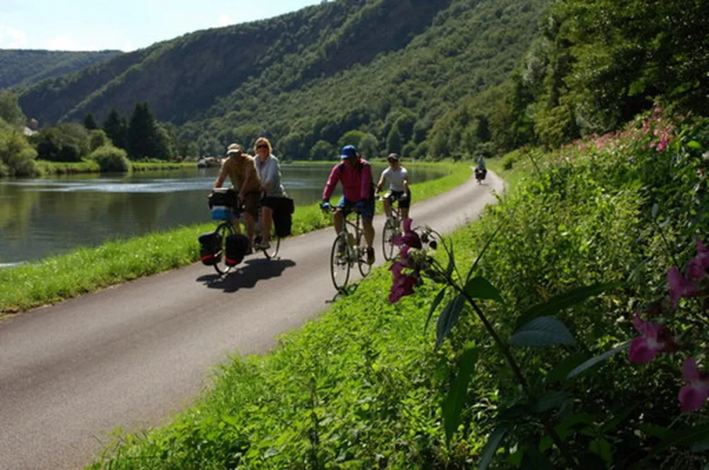 Camping Municipal Bellevue