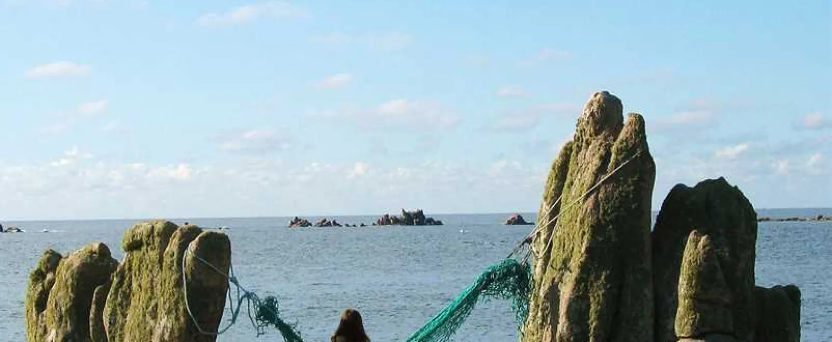 Troytown Farm Campsite