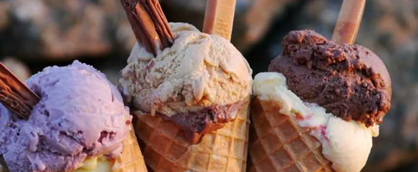 Troytown Farm Campsite