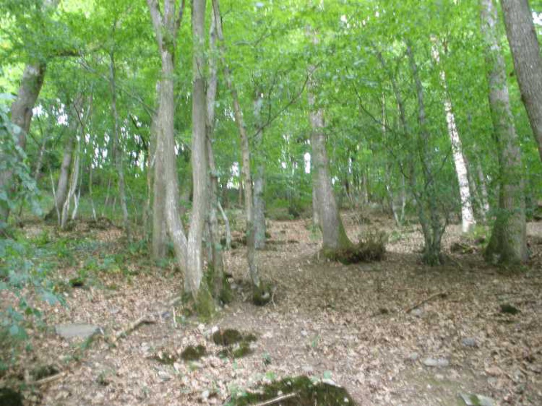 Camping Pont de Berguème - Photo 3