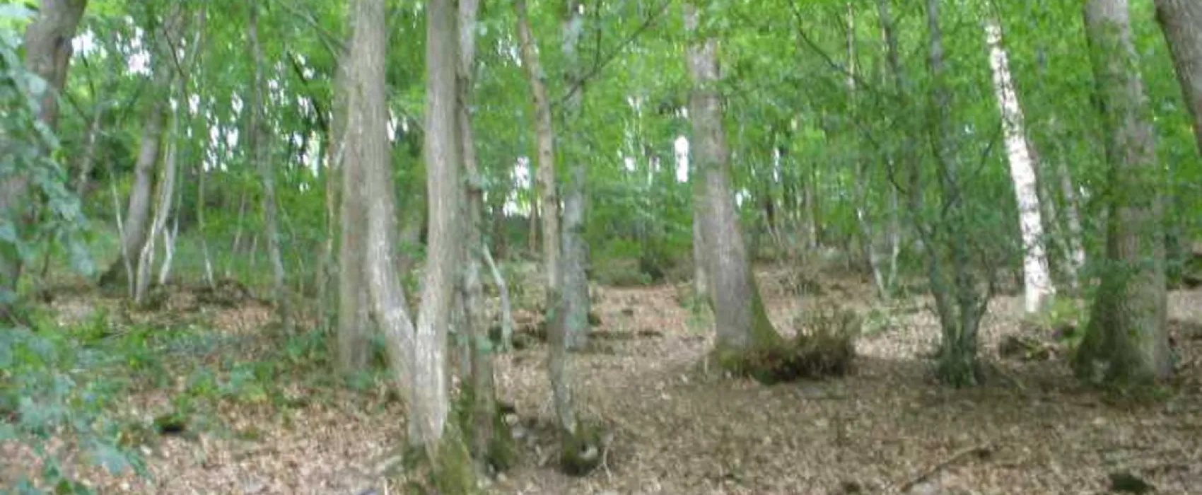 Camping Pont de Berguème