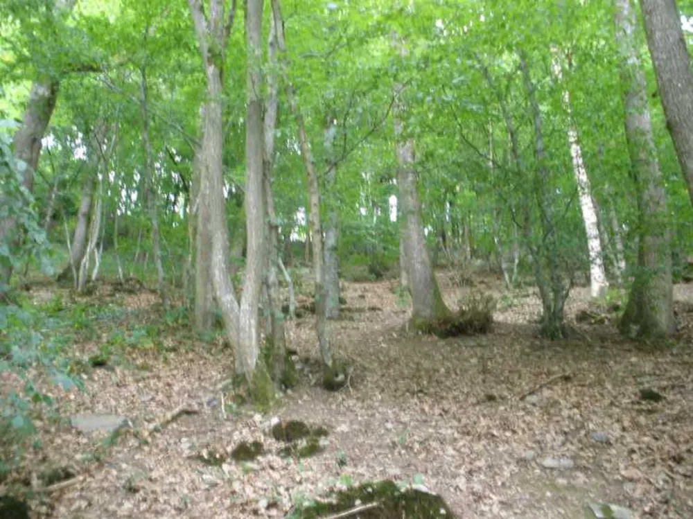 Camping Pont de Berguème