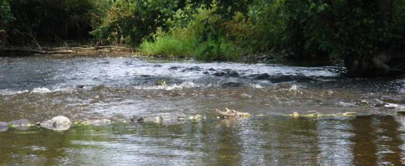Camping Pont de Berguème