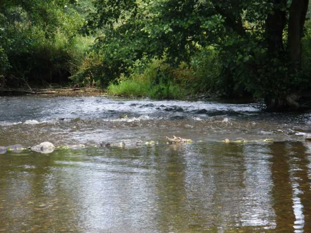 Camping Pont de Berguème