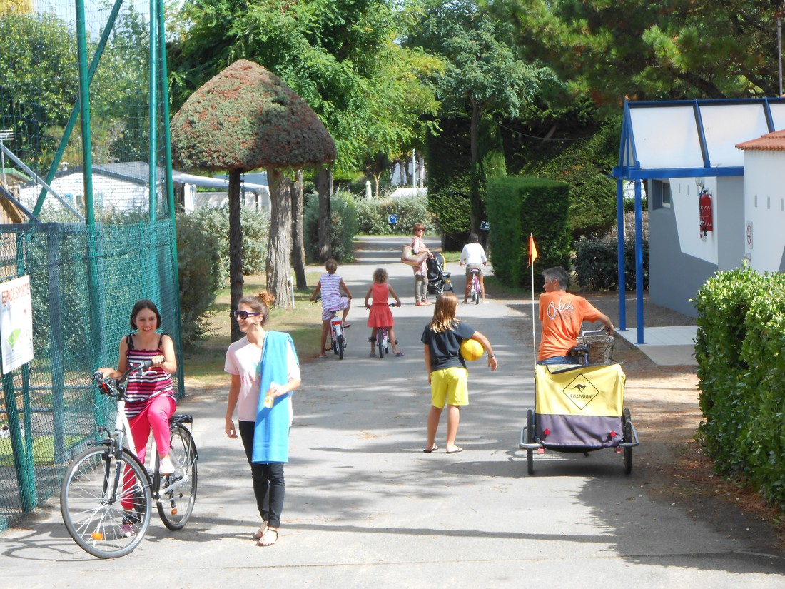 Camping Les Pins photo 4