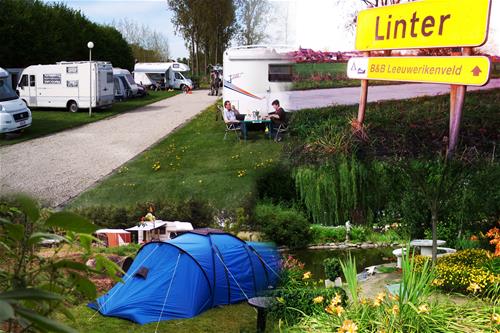 Leeuwerikenveld - Photo 2