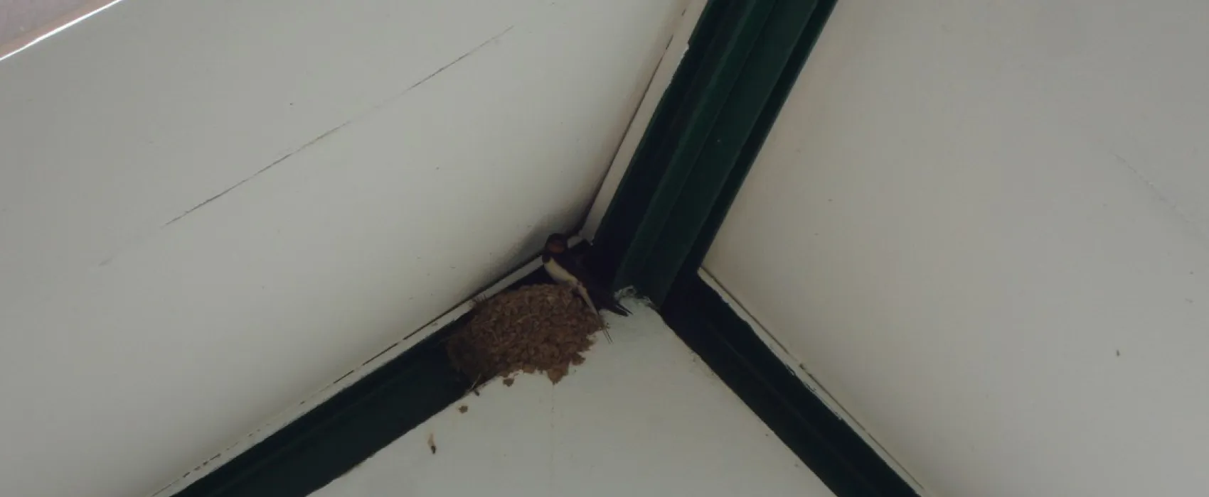 Campeggio Stella del mare