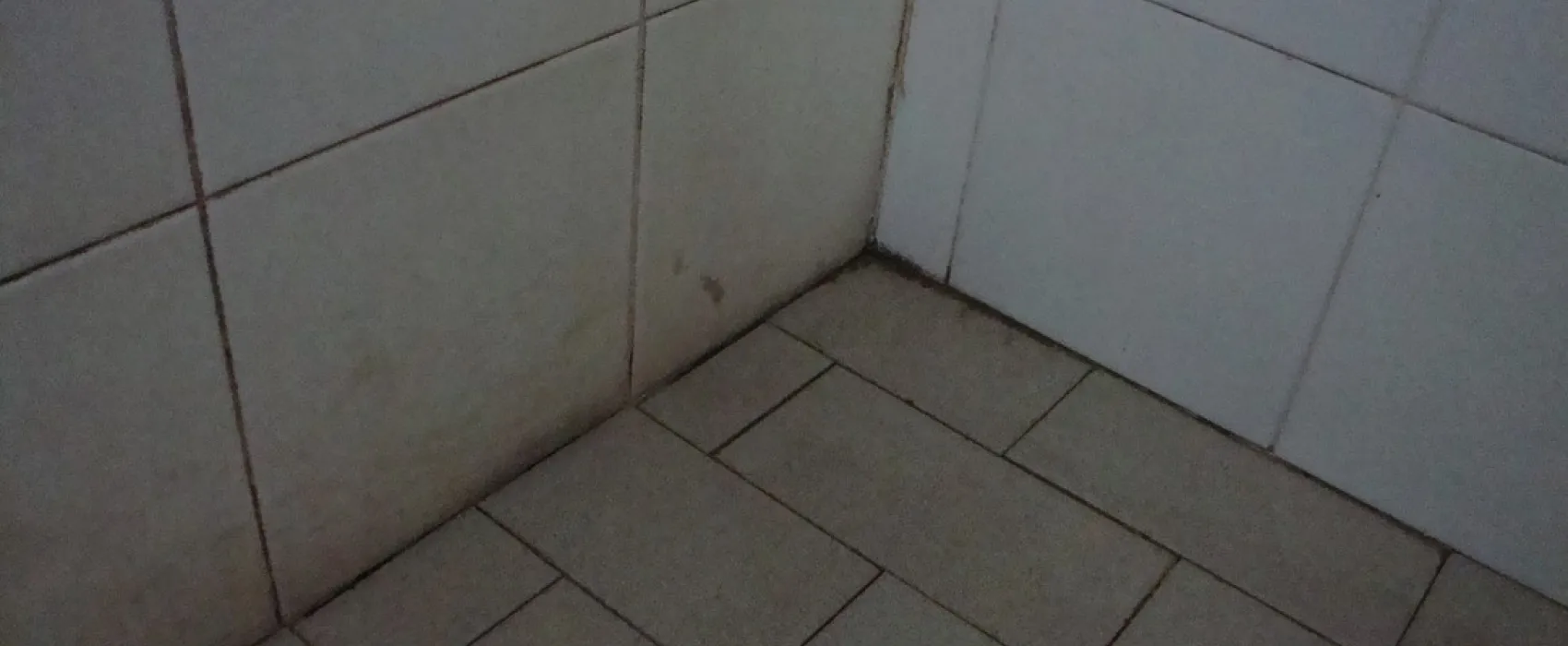 Campeggio Stella del mare