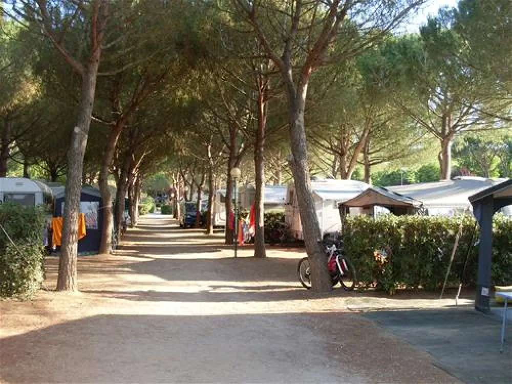 Campeggio Stella del mare