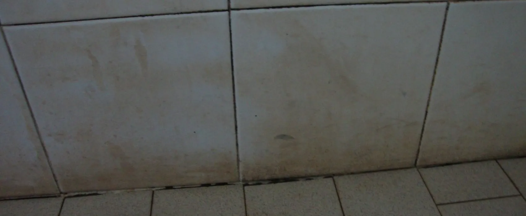 Campeggio Stella del mare