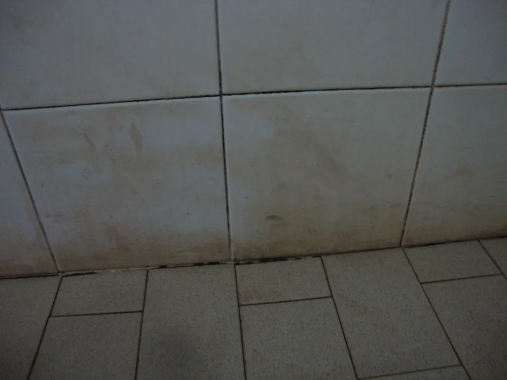 Campeggio Stella del mare