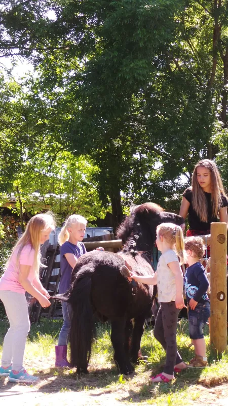 Camping Chez Gendron