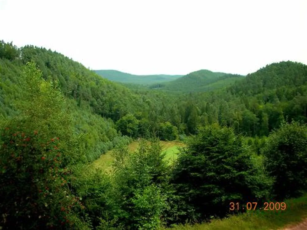 Camping municipal Ramstein Plage