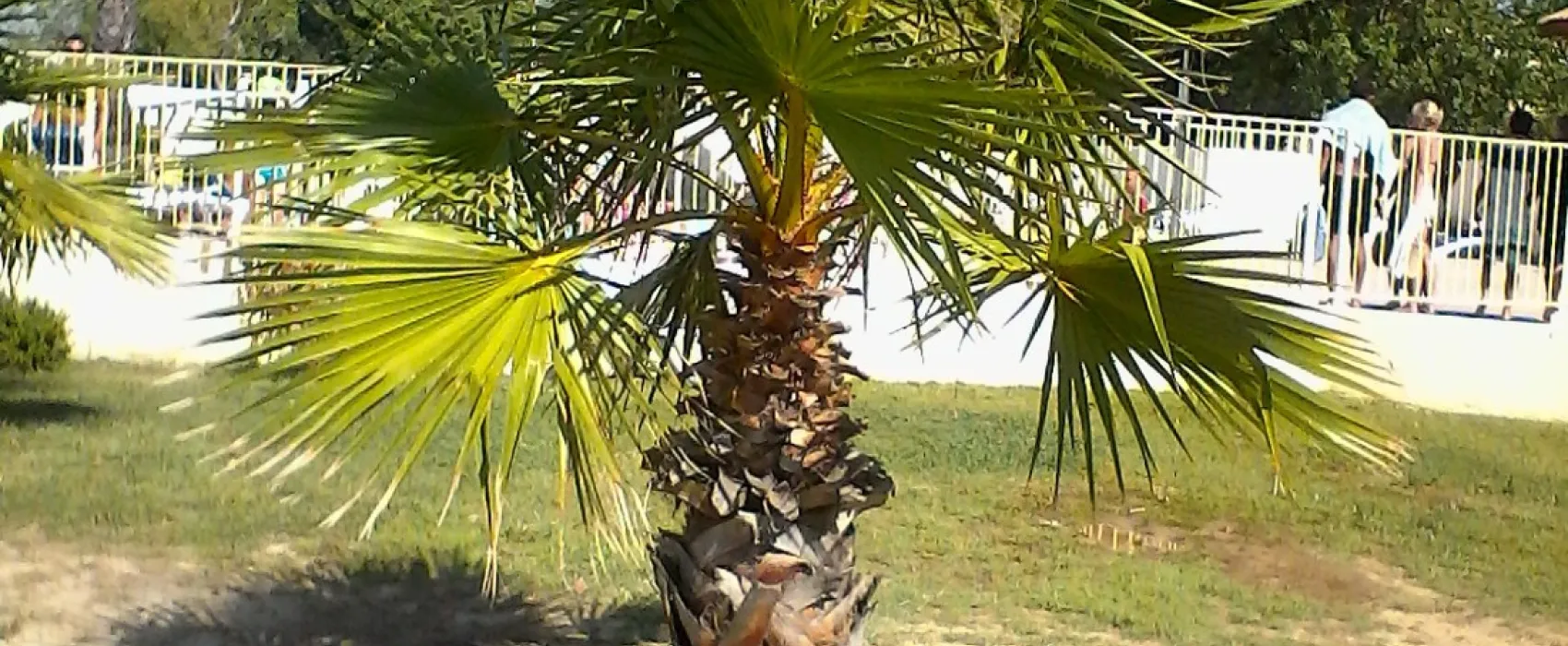 Camping Saint Maurice