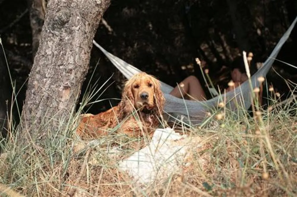 Naturist camp Bunculuka