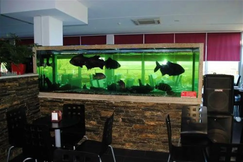 Naturwaterpark - Parque de Diversões do Douro