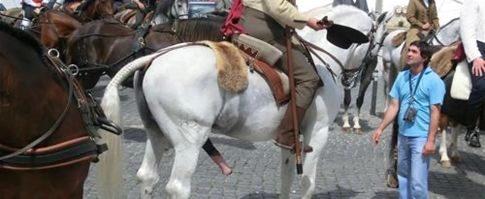 Parque Municipal de Campismo da Golegã
