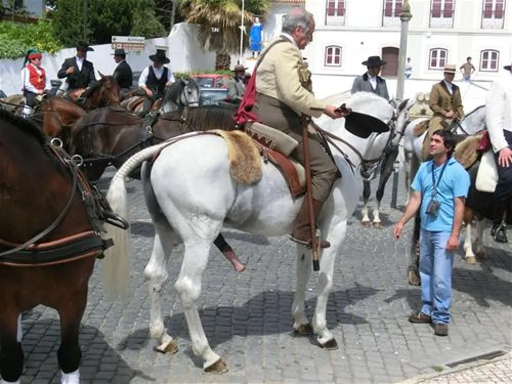 Parque Municipal de Campismo da Golegã