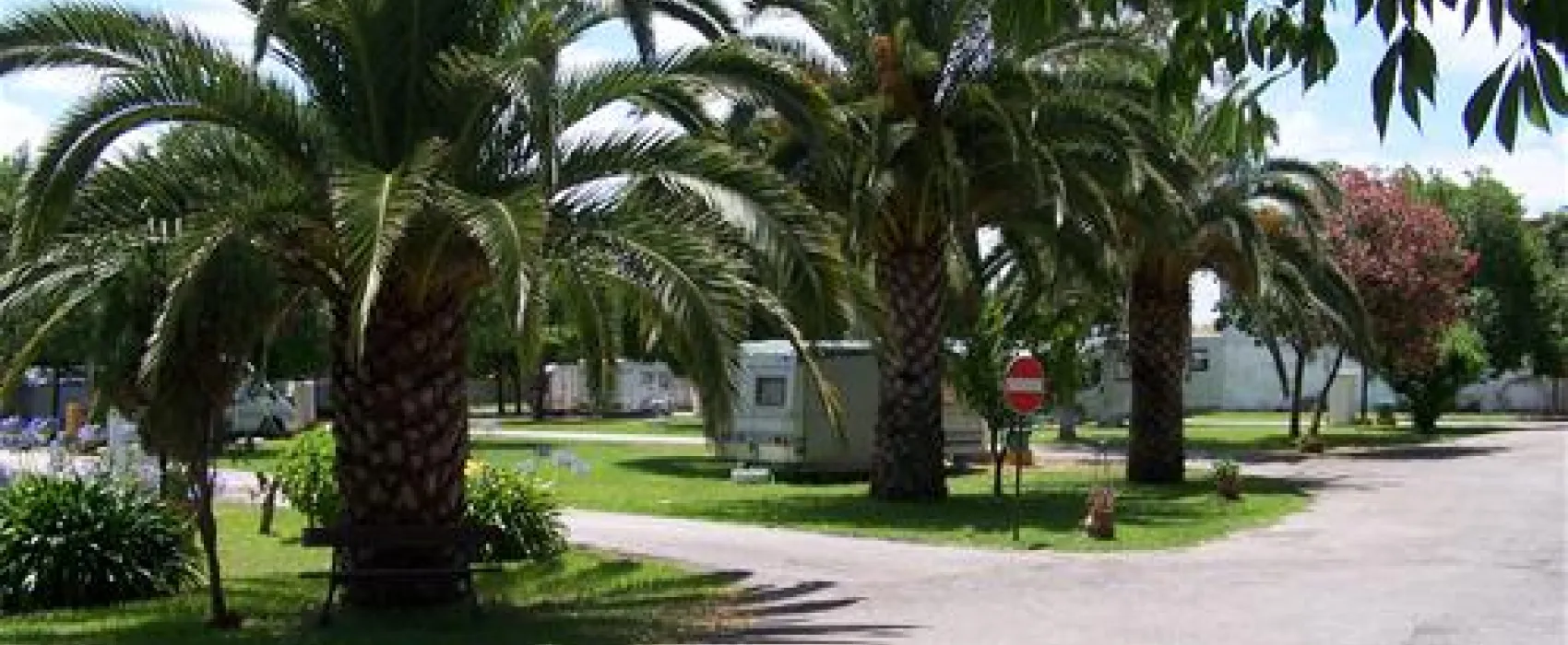 Parque Municipal de Campismo da Golegã