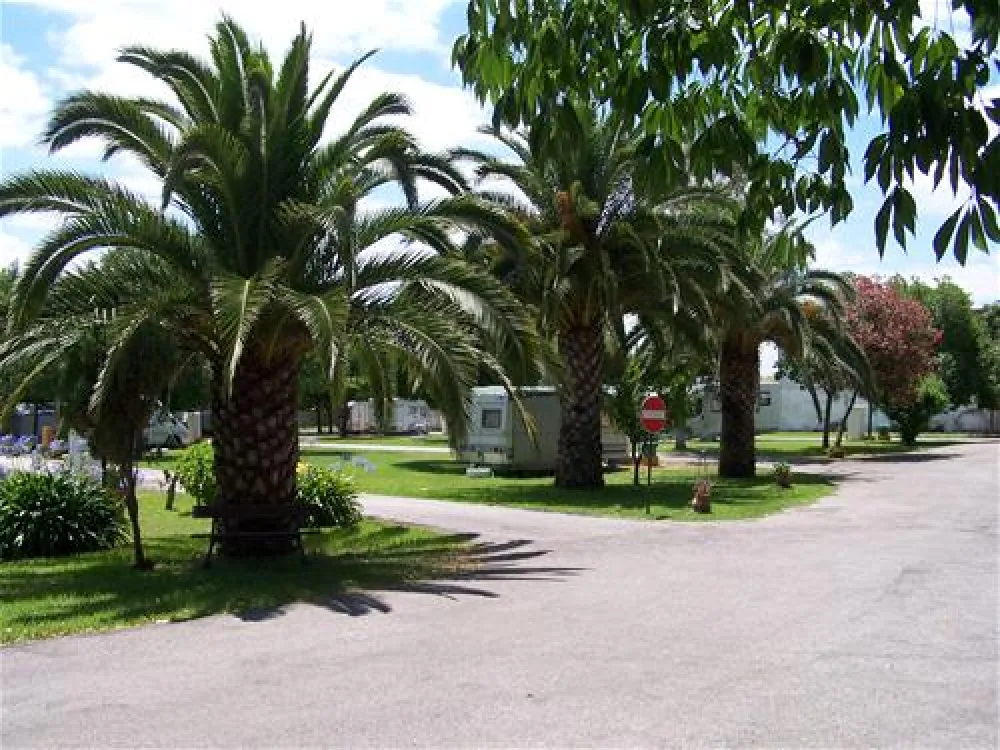 Parque Municipal de Campismo da Golegã