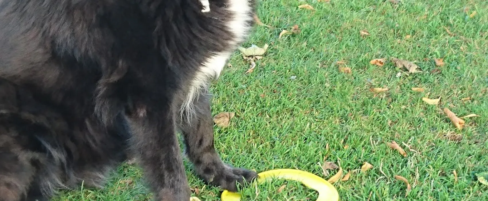 Victoria Caravan Park