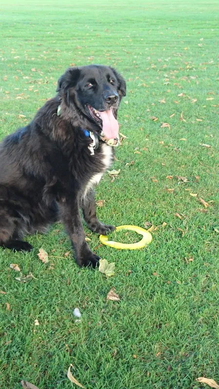 Victoria Caravan Park