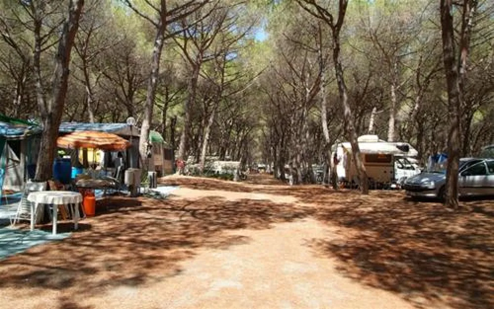 Camping Pionier Etrusco