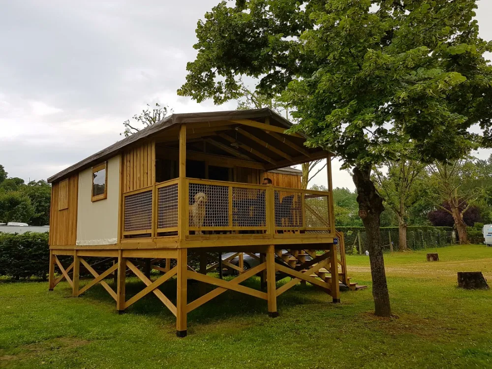 Flower Camping Des Nobis  