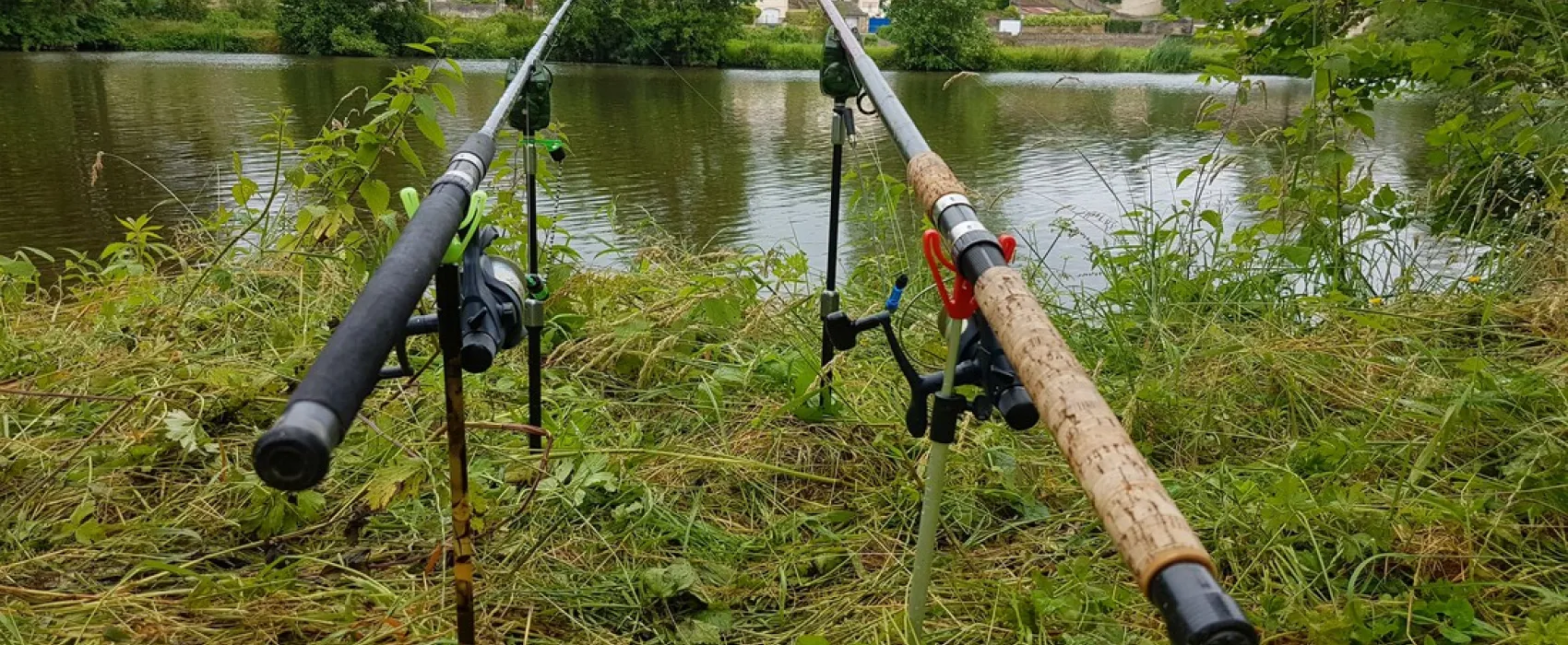 Flower Camping Des Nobis  