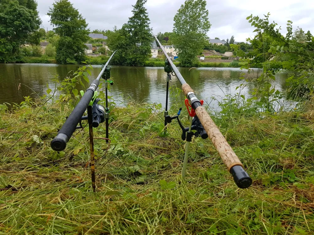Flower Camping Des Nobis  