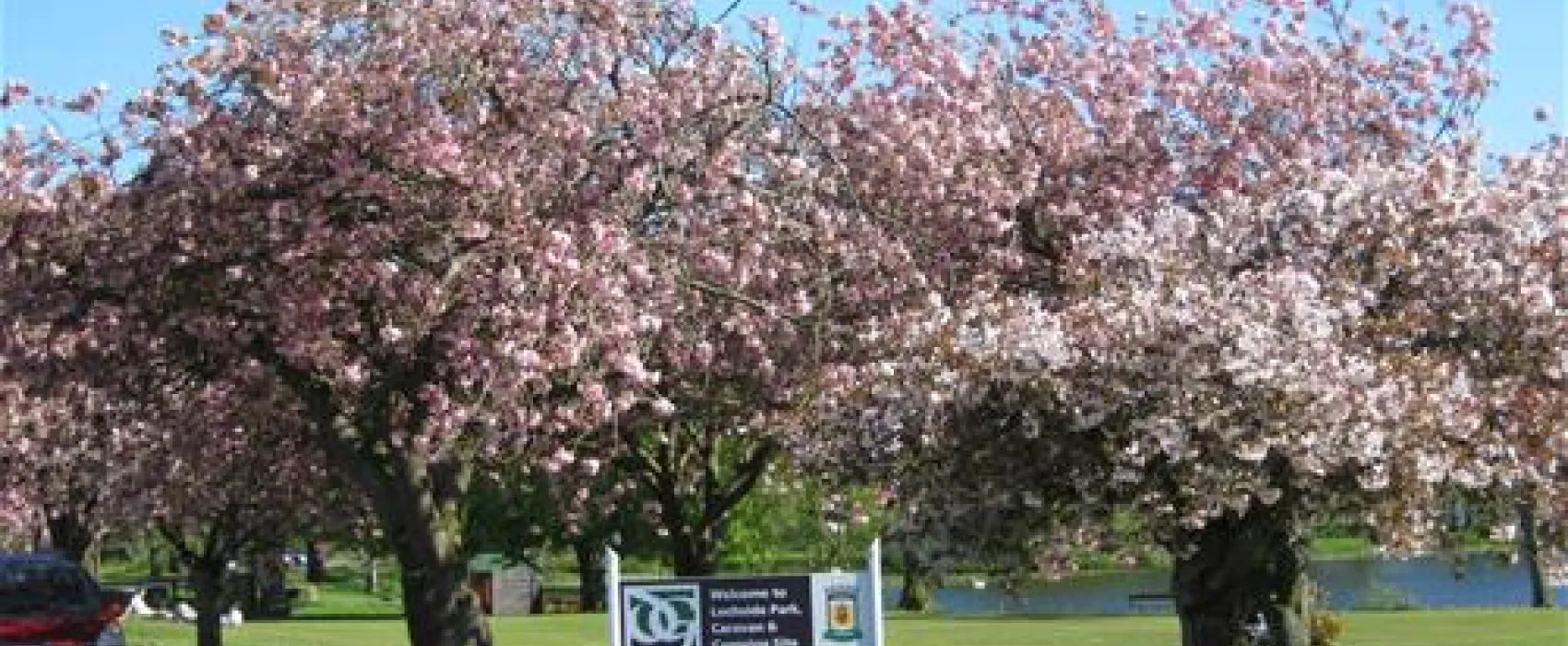 Lochside Caravan & Camping Site