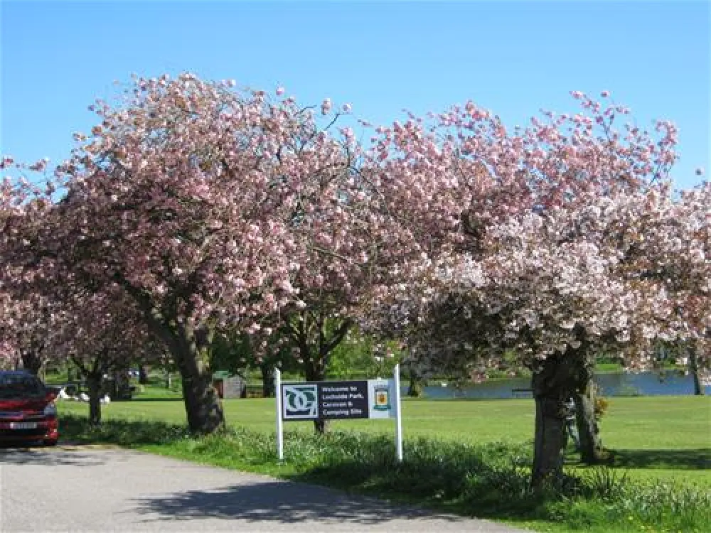 Lochside Caravan & Camping Site
