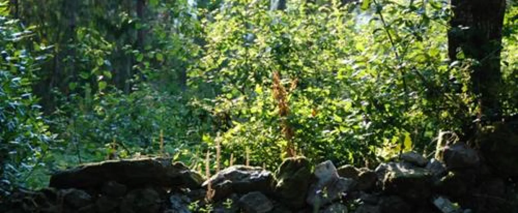 Parque de Campismo Convívio Lda