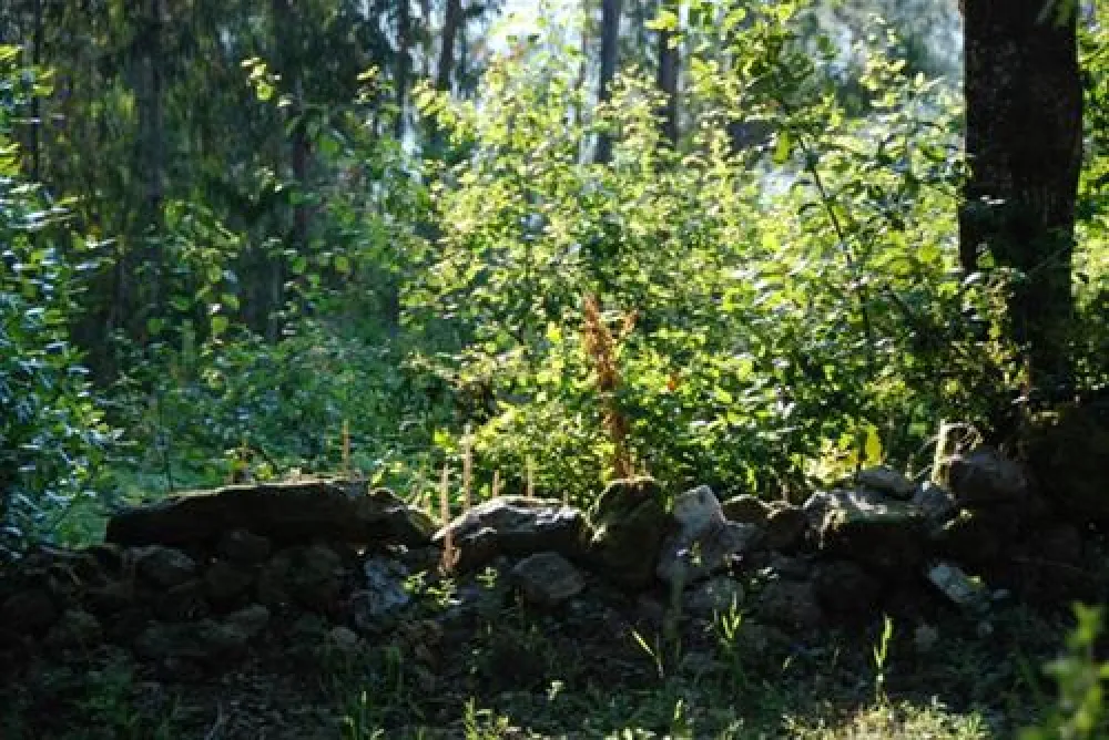 Parque de Campismo Convívio Lda
