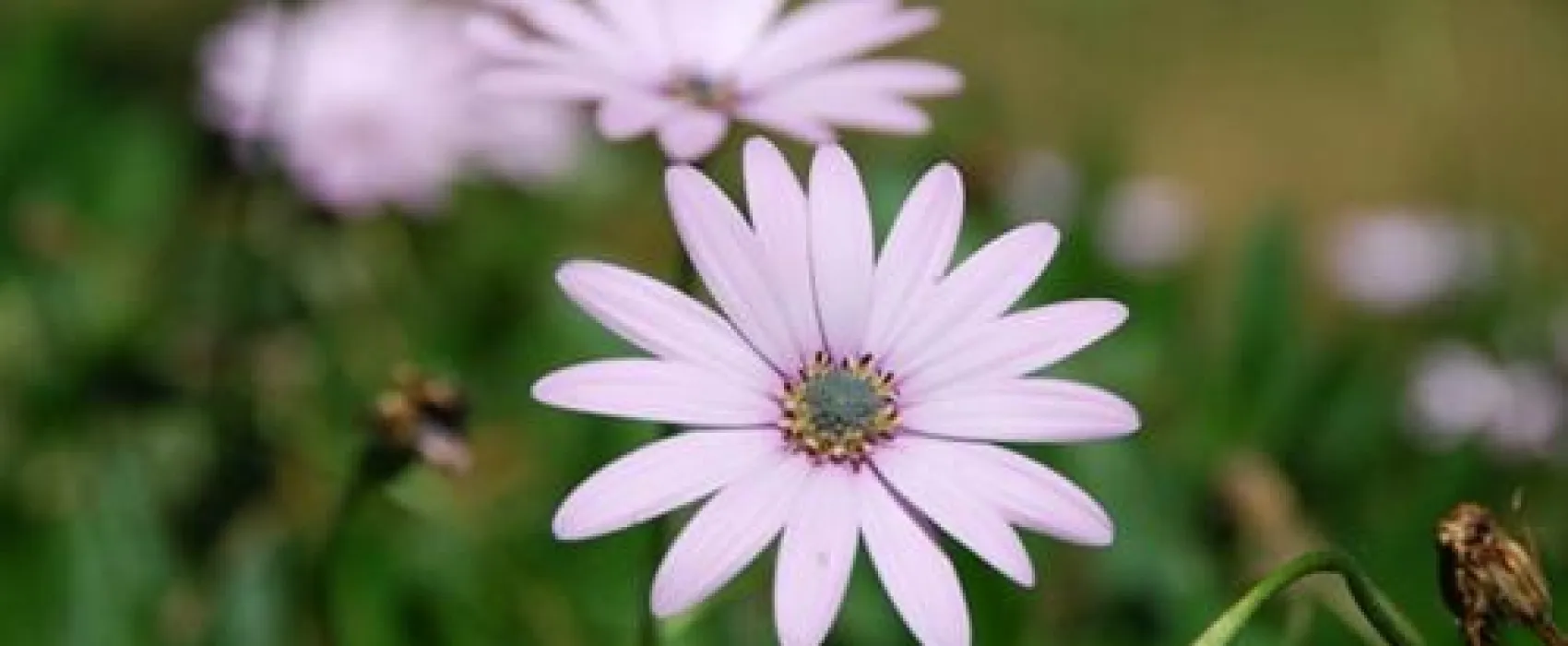 Parque de Campismo Convívio Lda