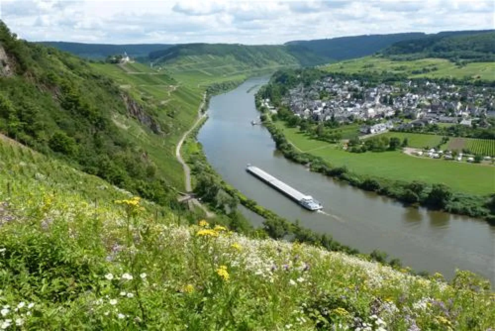 Campingplatz-Marienburg