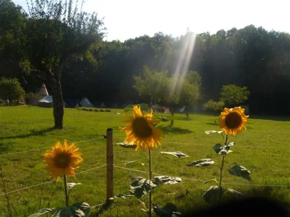 Camping La Clairiere du Verbamont
