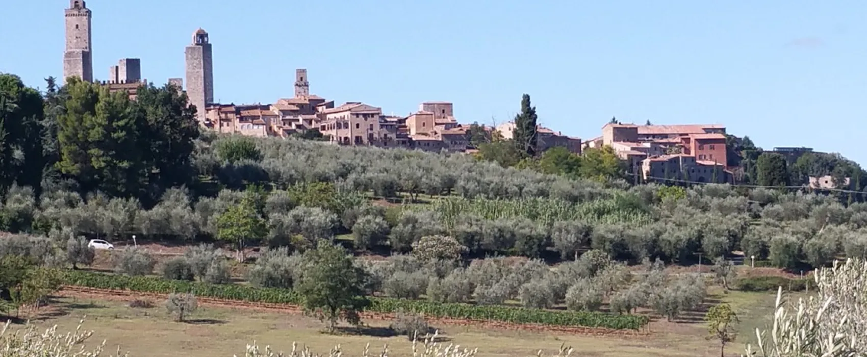Campeggio Il Boschetto di Piemma