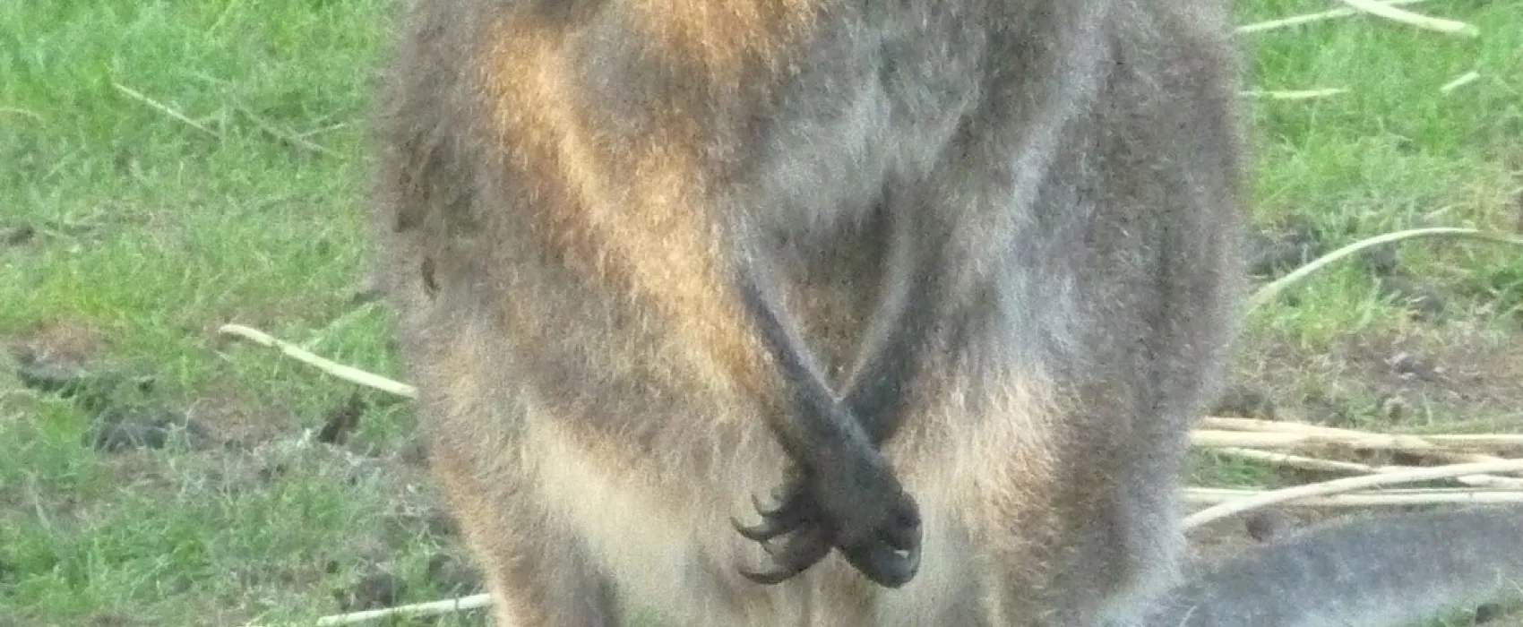 Camping De Geffense Berg