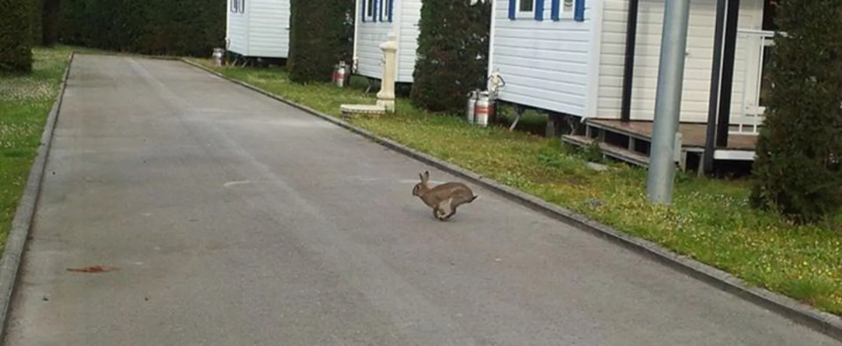 Camping Playa De Isla
