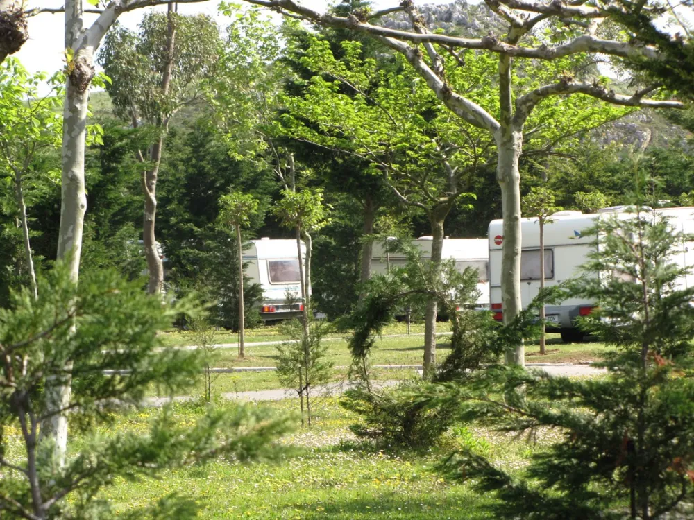 Camping Playa De Isla