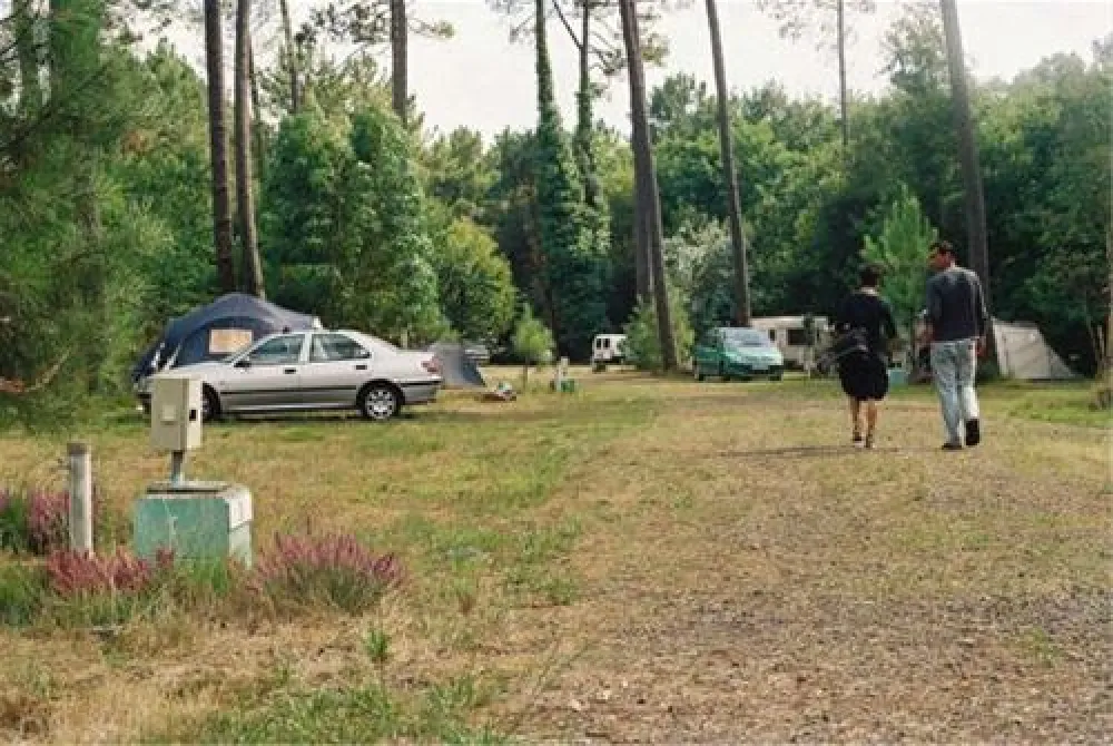 Camping  Le Cou de la Girafe