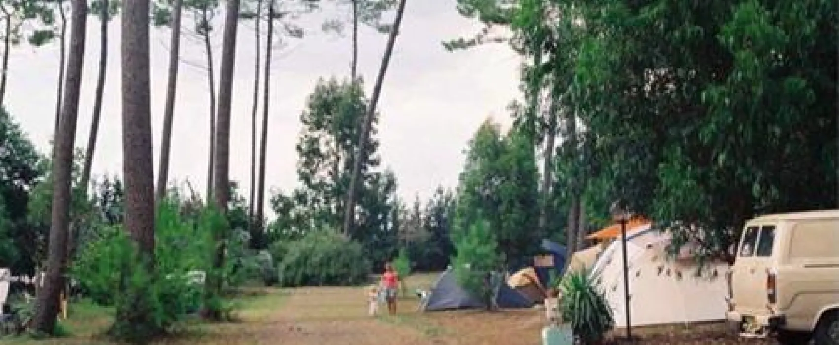 Camping  Le Cou de la Girafe