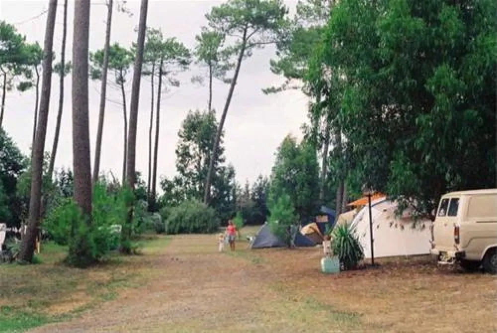 Camping  Le Cou de la Girafe