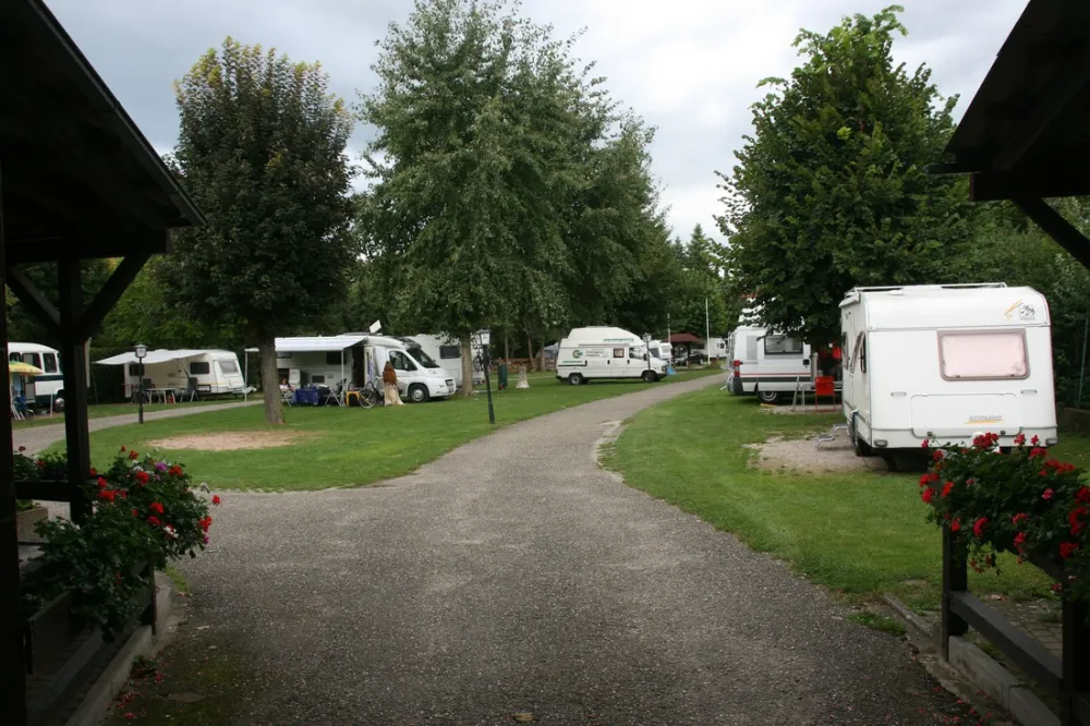 Camping Münsterblick