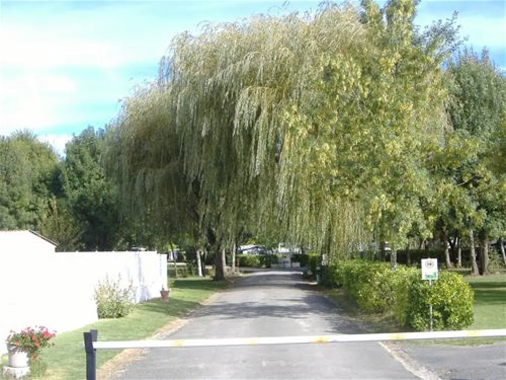 Camping Les Peupliers - Montalivet - Atlantique