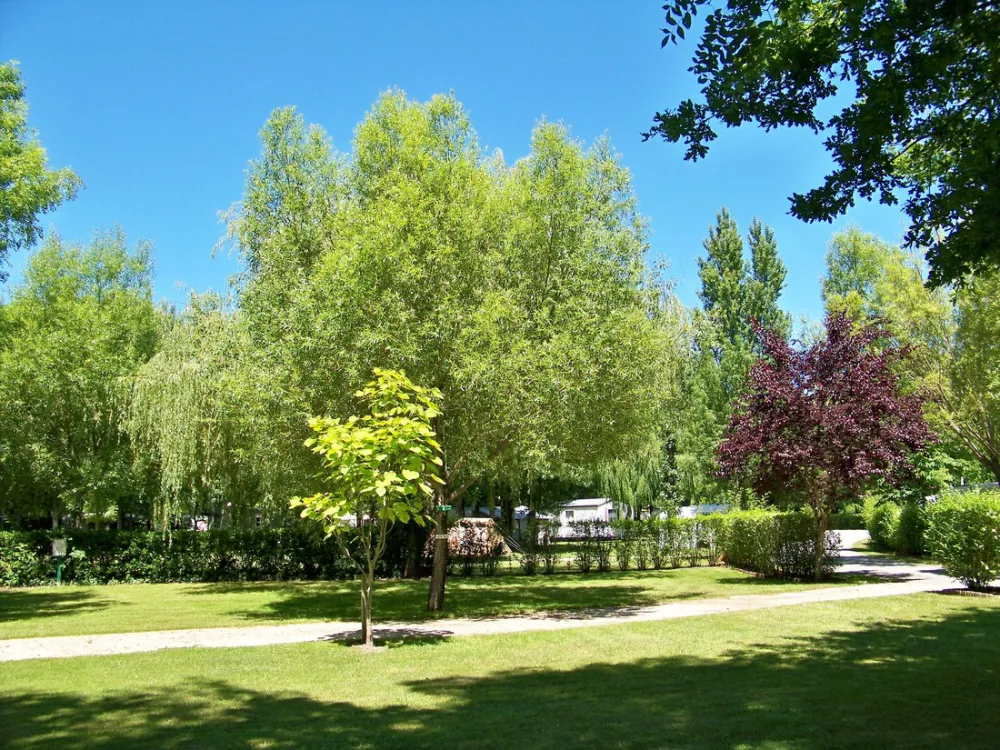 Camping Les Peupliers - Montalivet - Atlantique