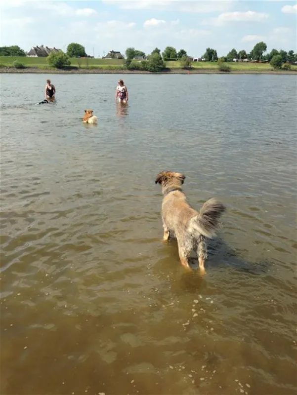 Camping Land an der Elbe bei Hamburg